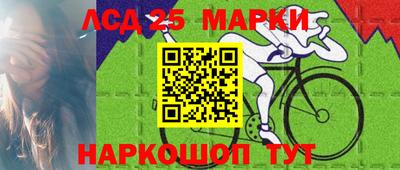 гидропоника Кингисепп