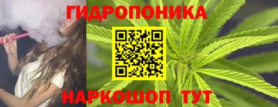 гидропоника Кингисепп