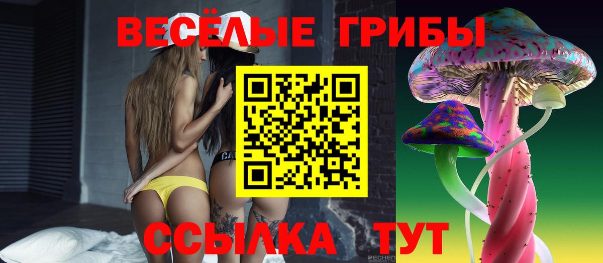 Псилоцибиновые грибы GOLDEN TEACHER Кострома